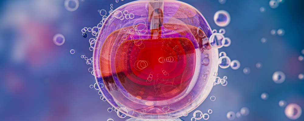Stem Cell 1